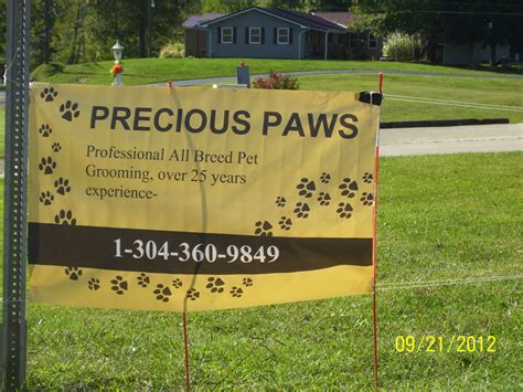 Precious Paws - Home