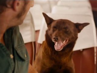 Scott reviews a documentary about former employees of the iconic oklahoma strip club known as the red dog! Red Dog Trailer (2011) - Video Detective