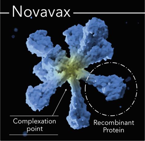 Understanding the multifaceted mechanisms of action of nanoparticle vaccines remains an important ongoing challenge that will enable these. NVAX DD: buy what the Dept. of Defense considers the best research approach to a CV19 vaccine ...
