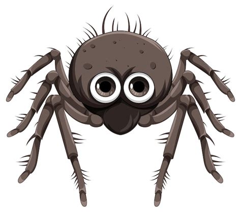 Spider Clipart Hairy Tarantula Spider Black Lines Clip Art Clip Art