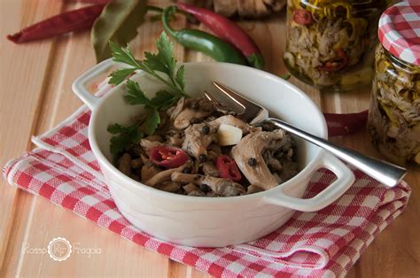 Poi strofinateli con un panno umido per. FUNGHI SOTT'OLIO - procedimento e conservazione