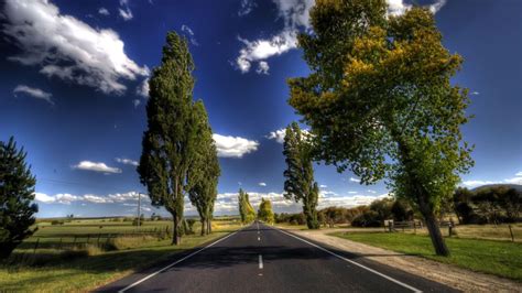 Home > black and white wallpapers > page 1. Trees Along with Empty Road HD wallpaper | nature and ...