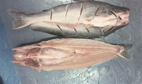 Pangasius From Vietnam Pangasius Butterfly Fillets Specification Skin