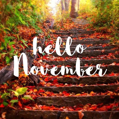 Hello November Hallo November Welcome November Days In November