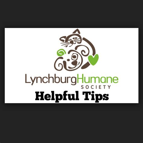Pin By Lynchburg Humane On Helpful Hints Helpful Hints Home Decor
