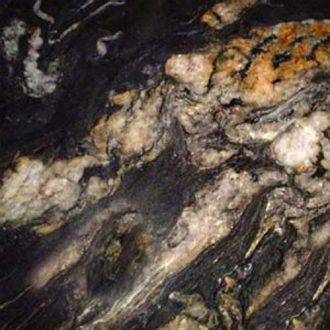 Check spelling or type a new query. Granite Colors that will Match with Oak Cabinets Perfectly