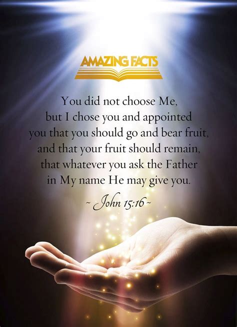 Ye Have Not Chosen Me But I Have Chosen You And Ordained You That Ye