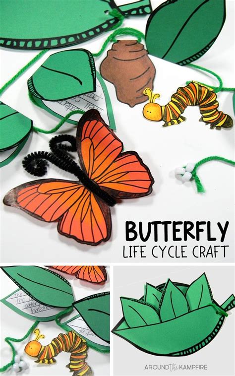 Butterfly Life Cycle Craft Butterfly Mania