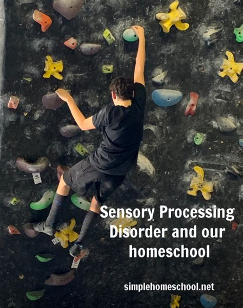 Sensory Processing Disorder And Our Homeschool Simple Homeschool