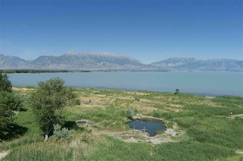 Are Hot Springs Bad For Dogs