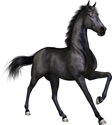 Free Thoroughbred Horse Clipart