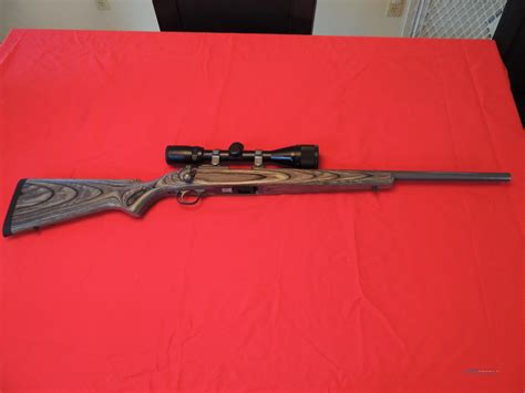 Ruger M77 Stainless 17 Mach 2 4x12 Scope For Sale