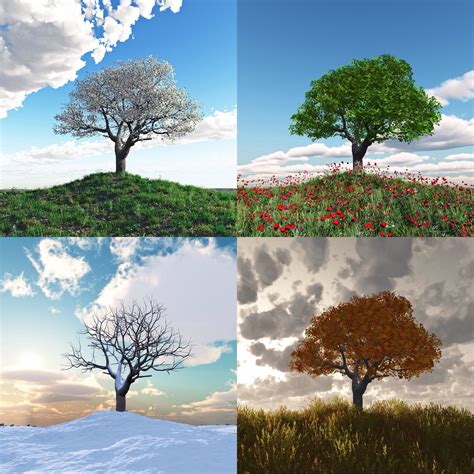 Les 4 Saisons Four Seasons Seasons Of Life Picture