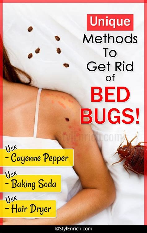 How To Get Rid Of Bed Bugs Rid Of Bed Bugs Bed Bug Spray Bed Bug