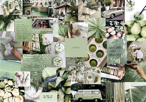 Salbeigrüne Collage ästhetisches Grün HD Hintergrundbild Pxfuel