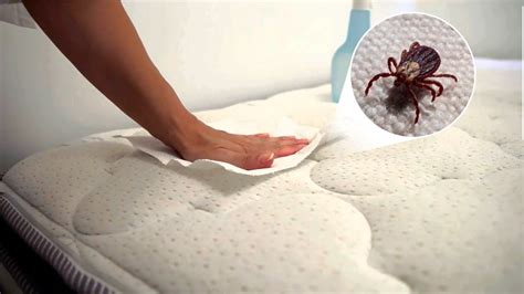 Dust Mites On Bed