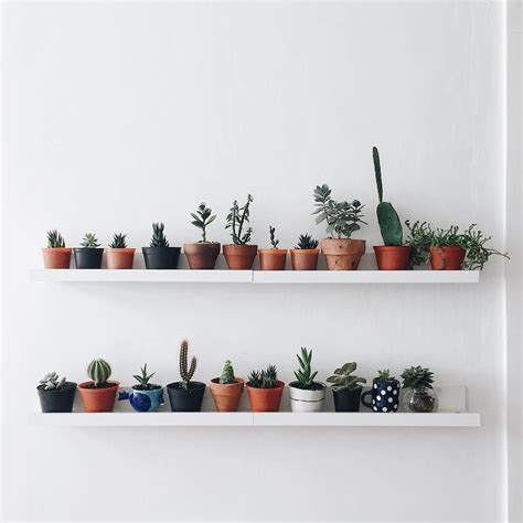 It shows a simple bedroom and closes to nature with exposed brick and plants. House Plant Club (@houseplantclub) • Instagram photos and ...