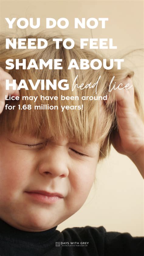 A Parents Guide For Head Lice Days With Grey