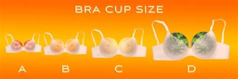 All About Of Bra Size Charts The Shoe Box Nyc
