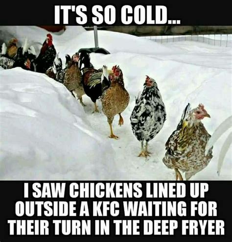 Its So Cold I Saw Chickens Outside A Kfc Waiting For Their Turn In