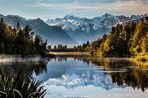 Westland Tai Poutini National Park Exploring The Best Of Nz