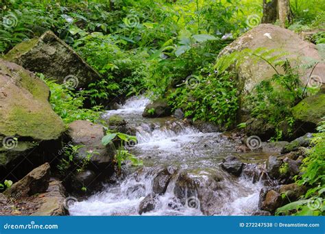 Small Stream Flowing Between The Rocks Stock Photo Image Of Small