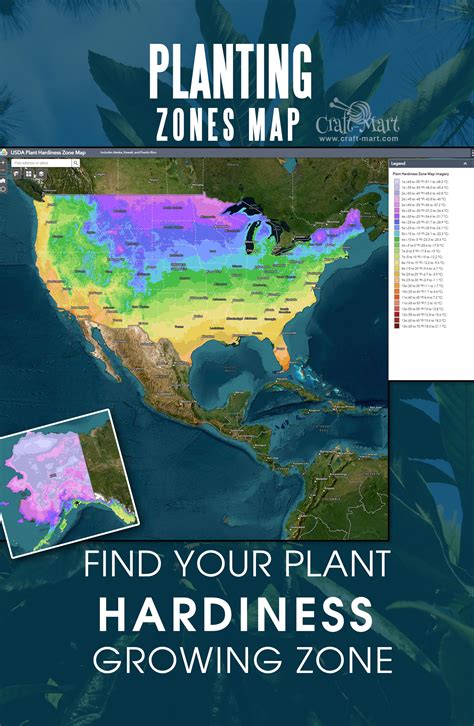 Usda Plant Hardiness Zones Map By Zip Code Craft Mart