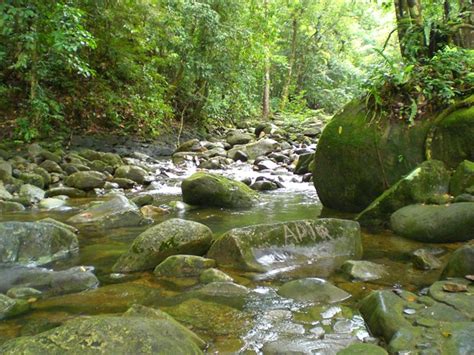 Situated in taiping, this hotel is within 9 mi (15 km) of matang mangrove forest reserve, taiping lake garden, and zoo taiping & night safari. Matang Family Park, Kuching | This is a very popular ...