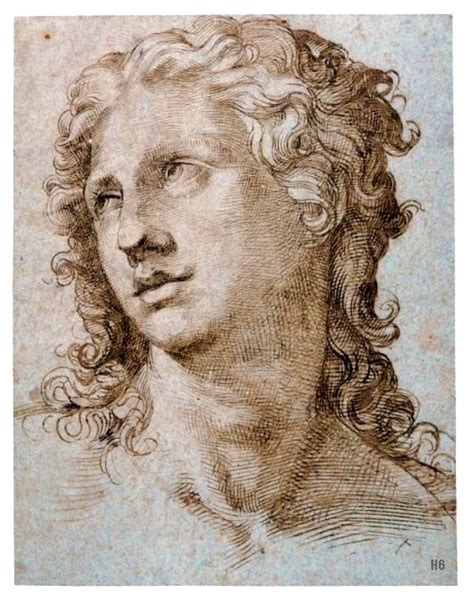 Male Head Bartolomeo Passarotti Italian 1529 1592 Hadrian6