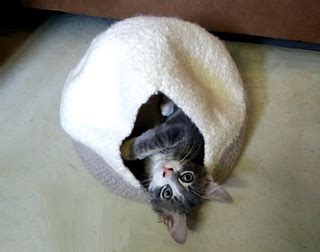 It is a great way to spend the winter months. Ravelry: Felted Cat Cave/Bed pattern by Kana Upton