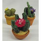Miniature Clay Flower Pots Photos