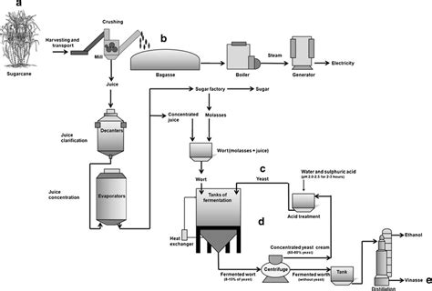 Simplified Illustration Showing Bioethanol Production And The Main