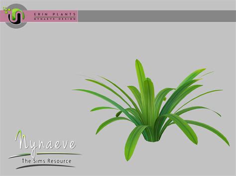 Nynaevedesigns Erin Plants Amaryllis Plant