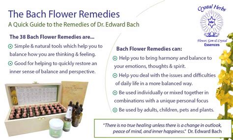 The Bach Flower Remedies A Guide To The Remedies And Work Of Dr Bach