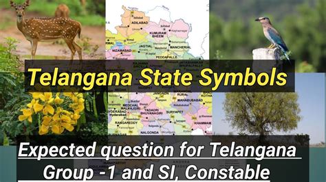 Telangana State Symbols 2022 Telangana State Animal Bird Flower And