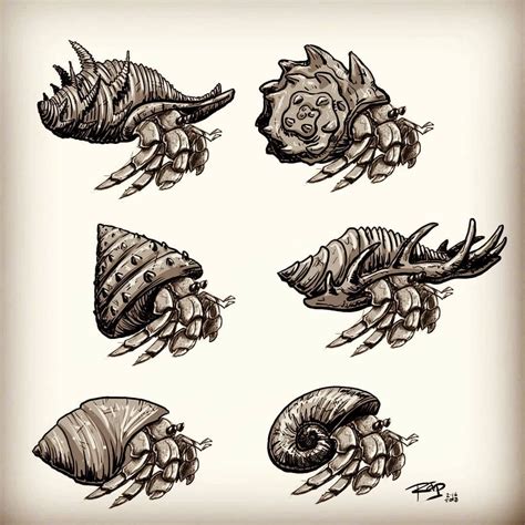 That's it for the initial sketch! Hermit Crab Shell Studies #drawing #doodle #sketch # ...
