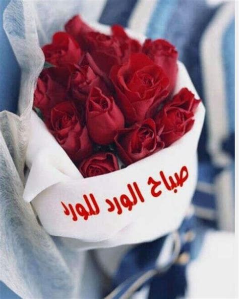 باقات ورد صباح الخير, صباح الخير للحبيب بالصور, صباح الورد للورد, بوستات صباح الورد والياسمين, صباح الخير للاصدقاء بالصور, اجمل الصور المتحركة صباح الخير, وردة مكتوب. صباح الورد حبيبي , اجمل صباح الفل والياسمين دلع ورد
