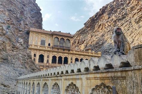 Monkey Temple Jaipur 🐵 Secret Way To Get There 🐵 Backpacking Rajasthan