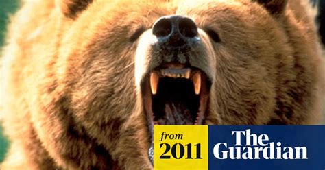 Grizzly Bear Mauls Teenagers In Alaska Alaska The Guardian