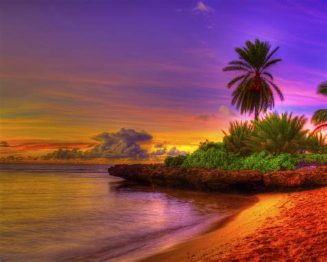 Free Download Tropical Beach Image Beautiful Tropical Beach Sunset