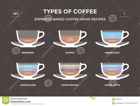 Set Types Of Coffee Info Graphic Stock Vector Illustration Of