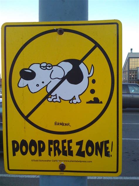 Funny Dog Signs Poop Free Zone Sign Funny Dog Signs Funny Dogs Dog