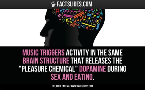 Music Triggers Activity In The Same Brain Structure That Releases The
