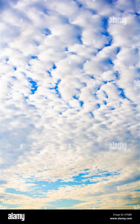 Cirrocumulus Floccus Clouds At Sunset Stock Photo Alamy