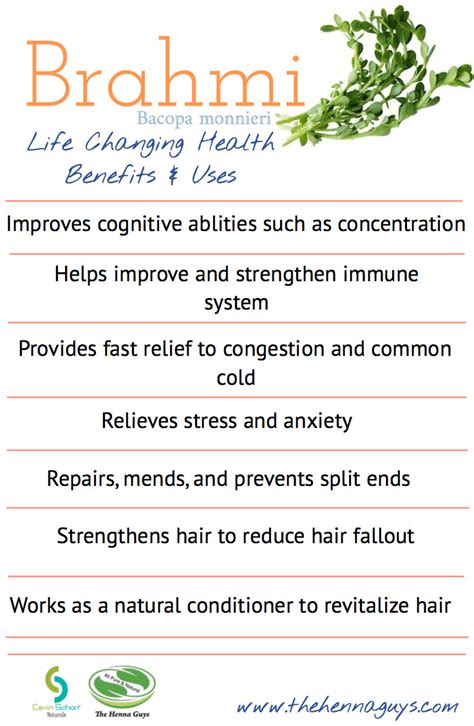 Benefits Of Brahmi Herb Brain Mind Article