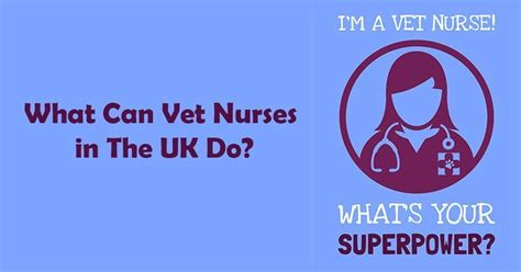 In this video, i had the opportunity to chat with heather chambers, md a sports medicine orthopedic surgeon about life as a sports medicine doc, education. What can vet nurses in the UK do? - I Love Veterinary ...