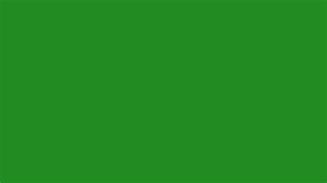 2560x1440 Forest Green For Web Solid Color Background