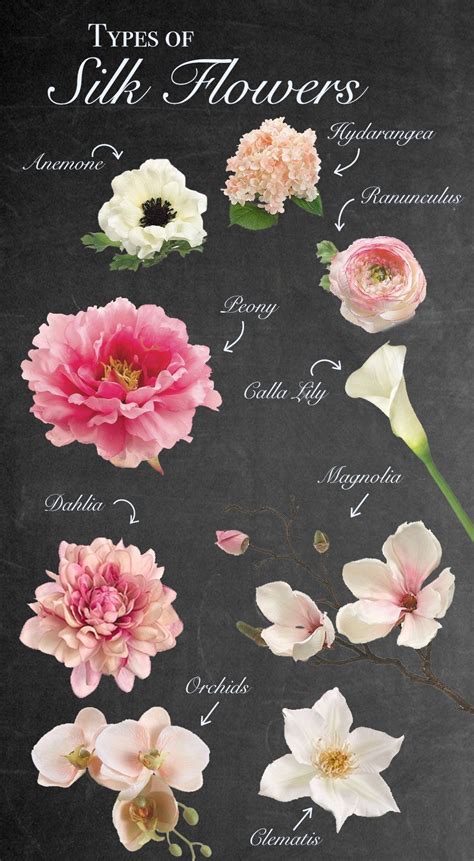 Different Types Of Flowers The Biggest Producer Of Preserved Plants