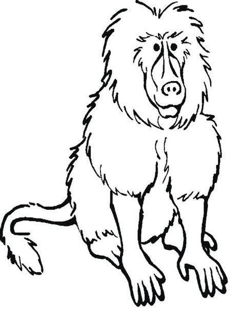 Rainforest Animals Coloring Pages At Getdrawings Free Download