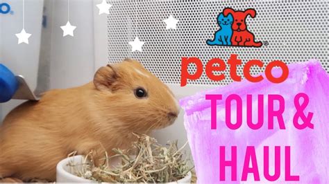 Pictures Of Hamsters At Petco Ware Home Sweet Home Teal 1 Story
